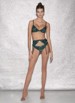 Fleur Du Mal Lily Embroidery Plunge Demi Bra -Sexy Wear Hub FDM 010623 1 04513full 03f418d1 2108 4ac1 b59c e279eb509e68