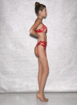 Fleur Du Mal Fuller Cup Velvet Lily Embroidery Plunge Demi Bra 12 Fleur Du Mal Fuller Cup Velvet Lily Embroidery Plunge Demi Bra -Sexy Wear Hub FDM 010623 1 04637full