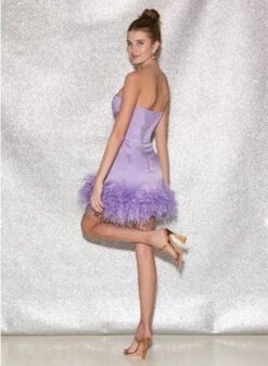 Fleur Du Mal Feather Embellished Bustier Dress -Sexy Wear Hub FDM 041222 1 4499full