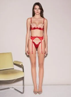 Fleur Du Mal James Lace Cheeky 17 Fleur Du Mal James Lace Cheeky -Sexy Wear Hub FDM 111522 10839full e9024a2d a9c4 426c b02f 787af5bb249a