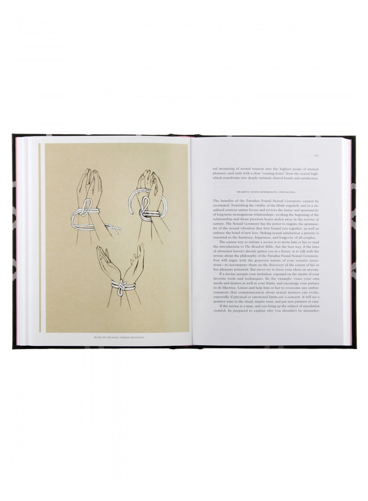 Rizzoli The Boudoir Bible 2 Rizzoli The Boudoir Bible - Image 2