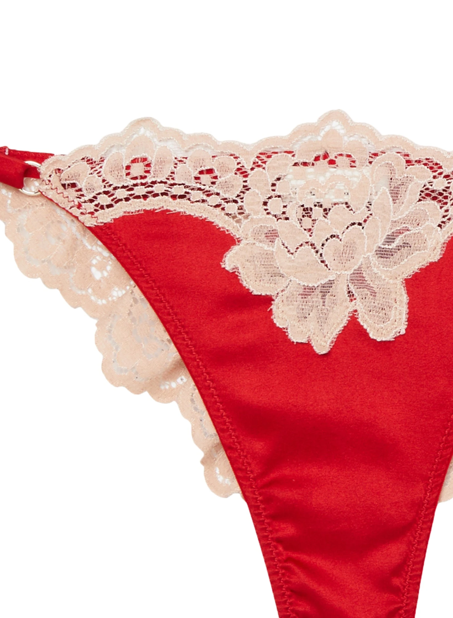 Fleur Du Mal James Lace Cheeky 7 Fleur Du Mal James Lace Cheeky - Image 7