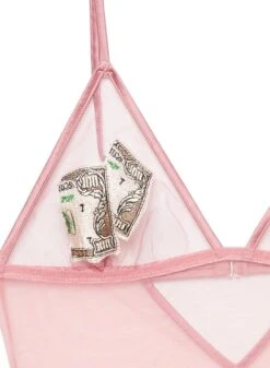Fleur Du Mal Big Spender Embroidery Bodysuit 15 Fleur Du Mal Big Spender Embroidery Bodysuit -Sexy Wear Hub moneybodysuitpinkflat2