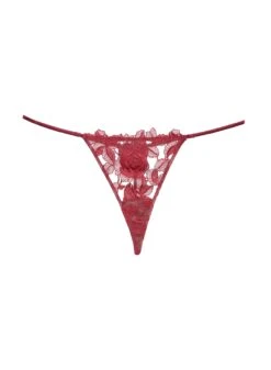 Fleur Du Mal Rose Embroidery V String 11 Fleur Du Mal Rose Embroidery V String -Sexy Wear Hub roseembroiderythongflat1