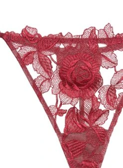 Fleur Du Mal Rose Embroidery V String 15 Fleur Du Mal Rose Embroidery V String -Sexy Wear Hub roseembroiderythongflat2